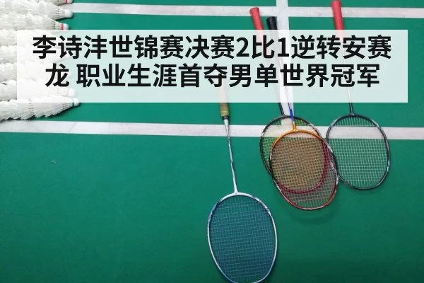 badminton final match
