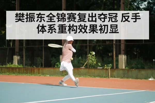 樊振东全锦赛复出夺冠 反手体系重构效果初显（hth）