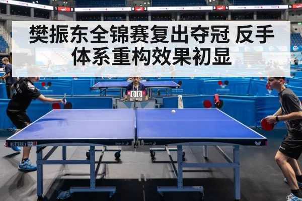Fan Zhendong table tennis match